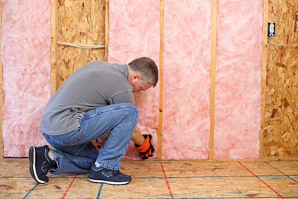 Best Fiberglass Insulation in Wilberforce, OH